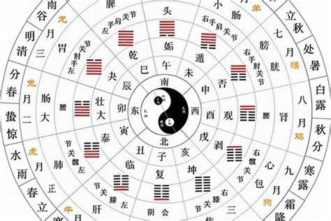 十天干五行|天干、地支、阴阳、五行、四时五方的关系表